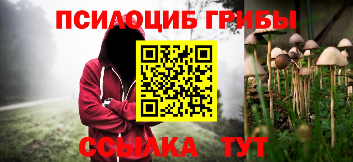 хочу наркоту  Галлюциногенные грибы мухоморы  Вход с VPN  Хасавюрт 